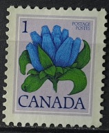 Kanada czysty * 22/20