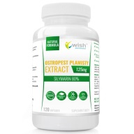 Wish Pharmaceutical Ostropest Plamisty ekstrakt 125mg kapsułki 120 szt