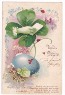 Kobieca dłoń List Pisanka Biedronki Niezapominajki 1902r. LITOGRAFIA