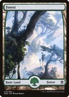 Karta Magic: The Gathering Forest 278 FullArt ZNR