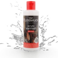 WERNIKS AKRYLOWY POŁYSK VAN BLEISWIJCK – 80 ML