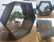 Terrarium heksagon drewno + plexi 31,5x27,5x15cm otwieranie zawiasy+ magnes