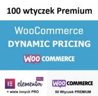 Wtyczka WooCommerce Dynamic Pricing WordPress