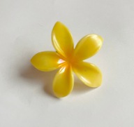 Spinka kwiat hawajski