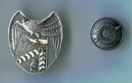 Odznaka 59 Pułk Piechoty Wielkop.- kopia