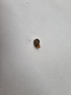 Wibracja Xiaomi Mi 10T Lite M2007J17G