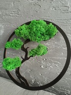 Bonsai drzewko szczęścia zielony mech chrobotek reniferowy Czarne drzewo 30