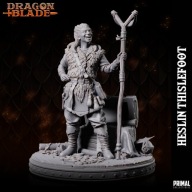Heslin - HotB - figurka RPG DnD D&D - druk 3D 14K