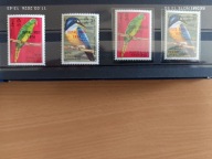 Nowe Hybrydy seria Ptaków nadruk kl Pope D3