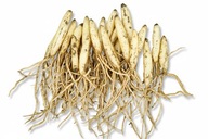 Czosnek niedzwiedzi cebulki sadzonki 150 wiosenna bomba witaminowa !