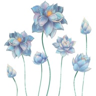 NAKLEJKI NA ŚCIANĘ, DRZWI... - 3D KOLOROWE KWIATY LILIE I MOTYLE