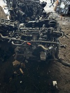 SILNIK 1.6 TDI CAY 90 ps 102 ps 105 ps VW AUDI SEAT SKODA mały termostat