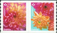 Kanada 2020 Znaczki 3800-1 ** kwiaty dalie