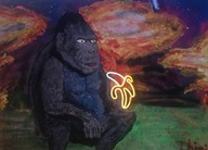 Obrazek Goryla Ze Świecącym Bananem, który Wystąpił W Teledysku