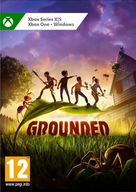 Grounded - Klucz (XBOX One / Xbox Series X|S)