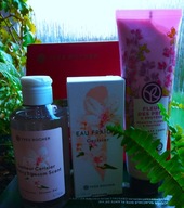 Yves Rocher Cerisier Woda toaletowa Kwiaty Wiśni 100 ml+GRATISY