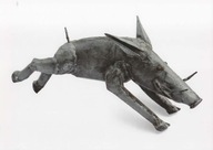 zdjęcie JÓZEF WILKOŃ DZIK reprodukcja na kartonie BESTIARIUM WILKONIA