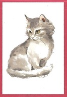 Kot kotek koty rasa harce kot w życiu człowieka pocztówka