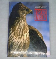 Agnieszka Nowak, Damian Nowak - Beskid Niski