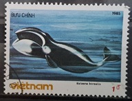 Ryby (kas) - luzak - do uzupełnień 13/6