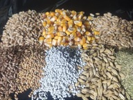 Pasza dla kur niosek zimowa 14 składników z POKRZYWĄ Naturalna+ DN RE