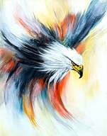 Obraz orzeł 30x23 / 75 Patryk Mit