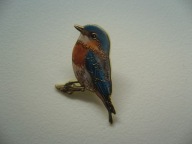 PIN PRZYPINKA BROSZKA PTAK PTASZEK