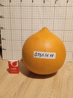 Tykwa zdrewniały owoc