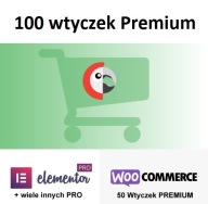 Polylang for WooCommerce PRO, Elementor WordPress