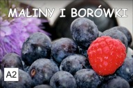 BANER SPRZEDAŻ BORÓWKI BORÓWKA MALINY 2x1 A2