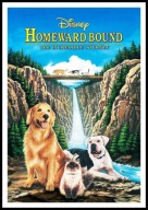 A2 PLAKAT FILM NIEZWYKŁA PODRÓŻ HOMEWARD BOUND THE INCREDIBLE JOURNEY 1993