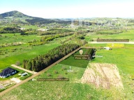 Działka, Ptaszkowa, Grybów, Nowosądecki, 6500 m²