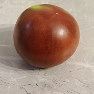 Pomidor Czarny Słoń (101) nasiona kolekcjonerskie