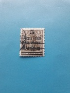 POLSKA 1918 ROK Fi 9 FII WYDANIE PRZEDRUK NA ZNACZKACH GGW