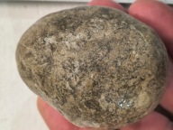 Agat mszysty dendrytowy minerał