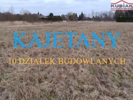 Działka, Kajetany, Nadarzyn, Pruszkowski, 9982 m²