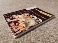 Król Edyp - Sofokles - wydanie z opracowaniem LEKTURA - Greg