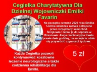 Cegiełka Charytatywna Dla Dzielnej Wojowniczki 5 zł Emilki Favarin
