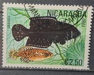 Ryby (kas) - luzak - do uzupełnień 13/8