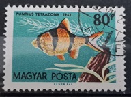 Ryby (kas) - luzak - do uzupełnień 13/5