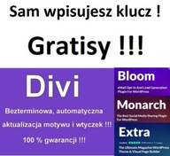 Klucz Divi 5 Alpha Beta "DOŻYWOTNE" AKTUALIZACJE Elegant Themes WordPress
