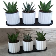 Zestaw 3 Doniczek Osłonek Kwietnik Potrójna Z Podstawką Czarny Biały