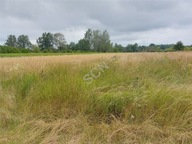 Działka, Otwock, Otwocki, 3600 m²