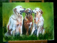 Psia miłość - W.Kowal