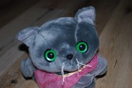 pluszak maskotka fajny kot kotek duże cudne oczęta