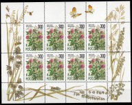 ROSJA kwiaty Mi arkusik 437 I**