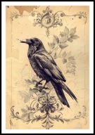 A2 PLAKAT RYSUNEK SZKIC VINTAGE RETRO PTAK KRUK