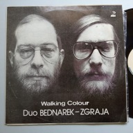 Duo Bednarek-Zgraja – Walking Colour