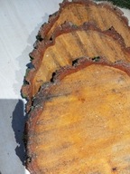 Plaster brzoza krążek 20-25cm 3sztuki grubość 3 cm żywe drewno naturalne