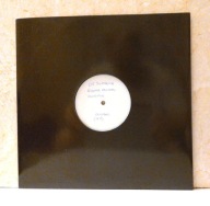 DJ Supreme & UFO – Rhyme Animal / Invisible